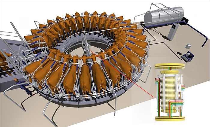 ÐýתʽÄÌÅ£³¡